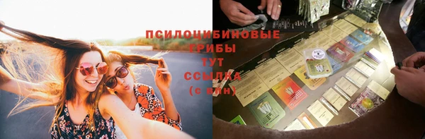 альфа пвп Алексеевка